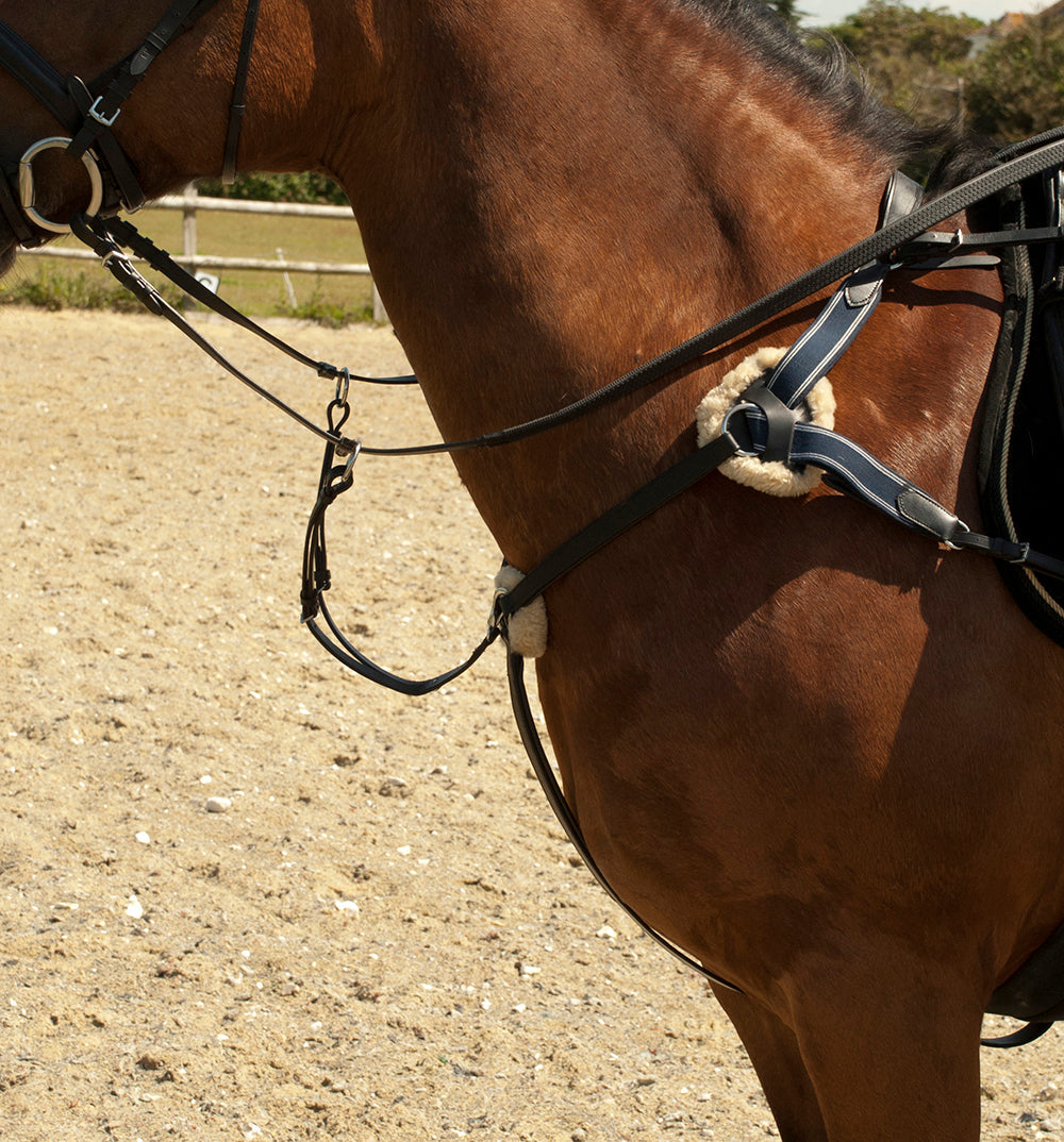 Tack & Saddlery