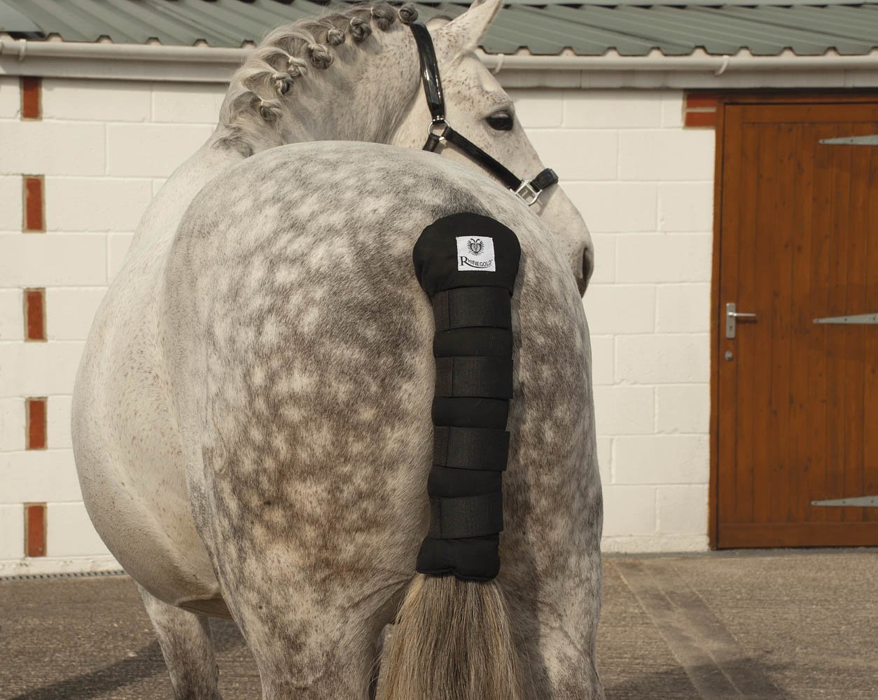 Tail & Poll Guards
