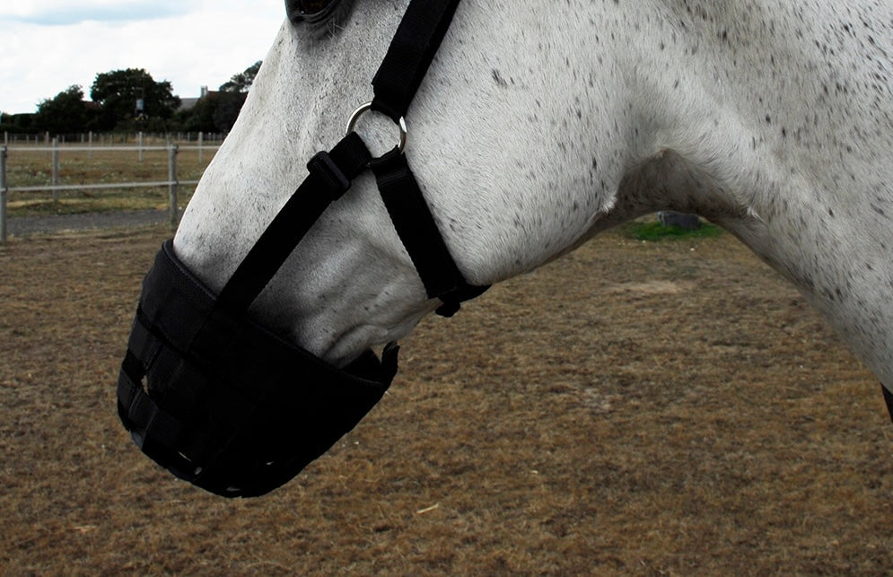 Muzzles