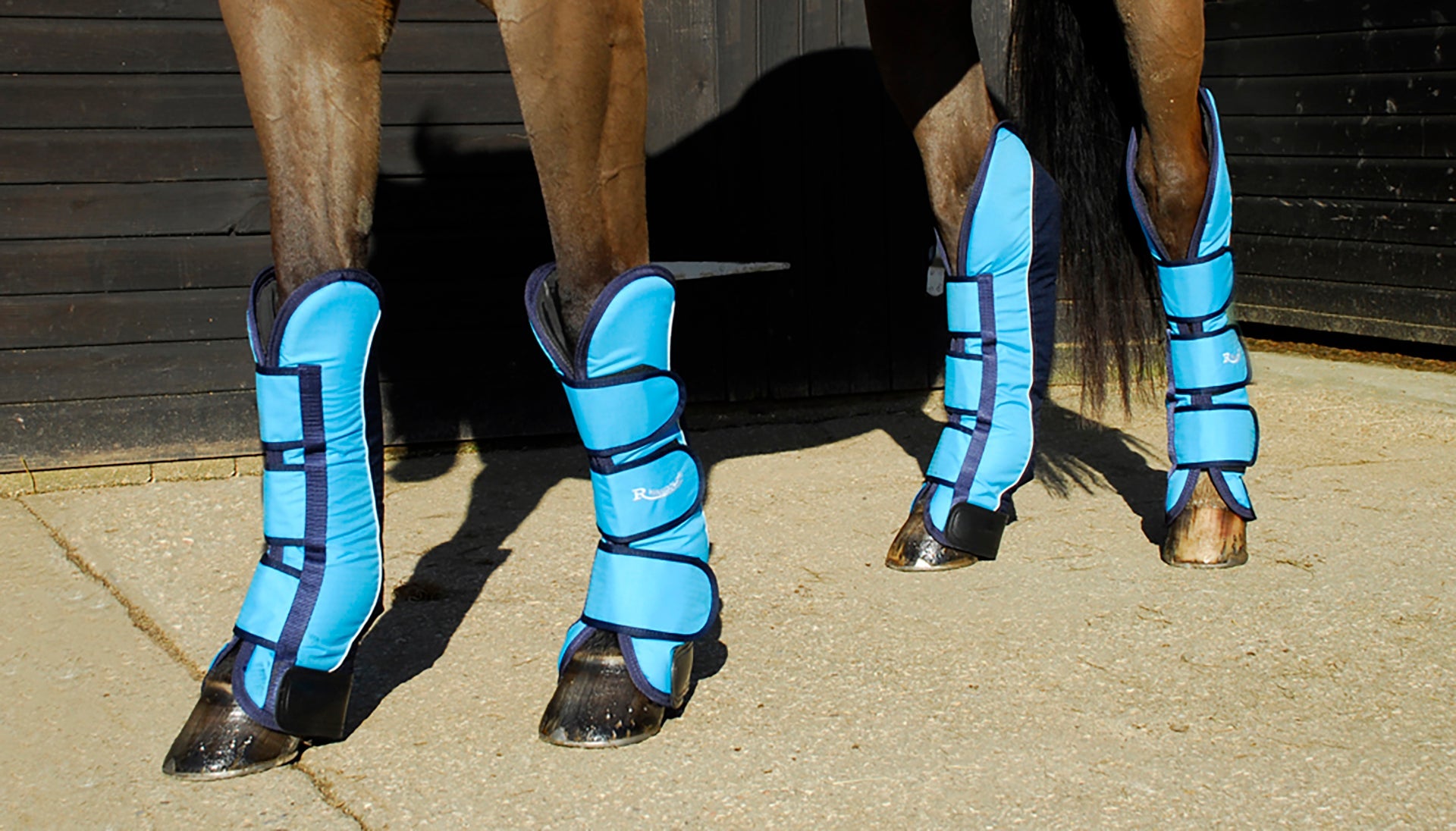 Horse Boots