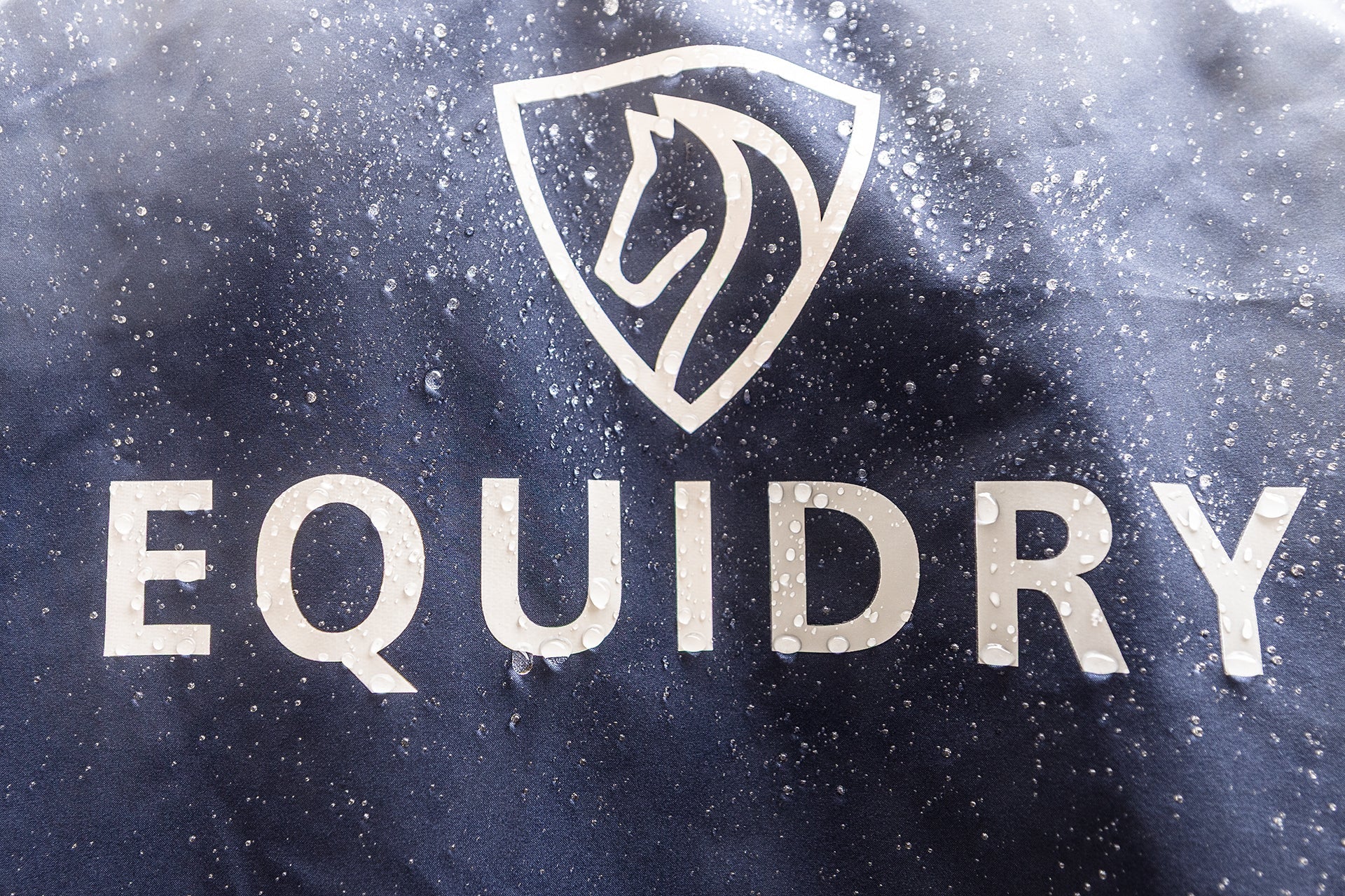 EQUIDRY