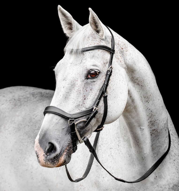 Premier Equine