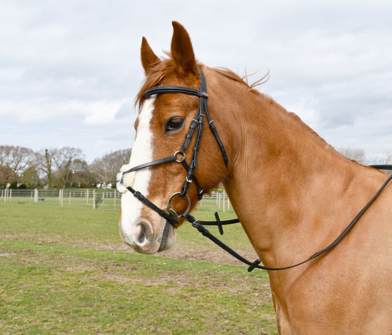 Breastplates & Martingales