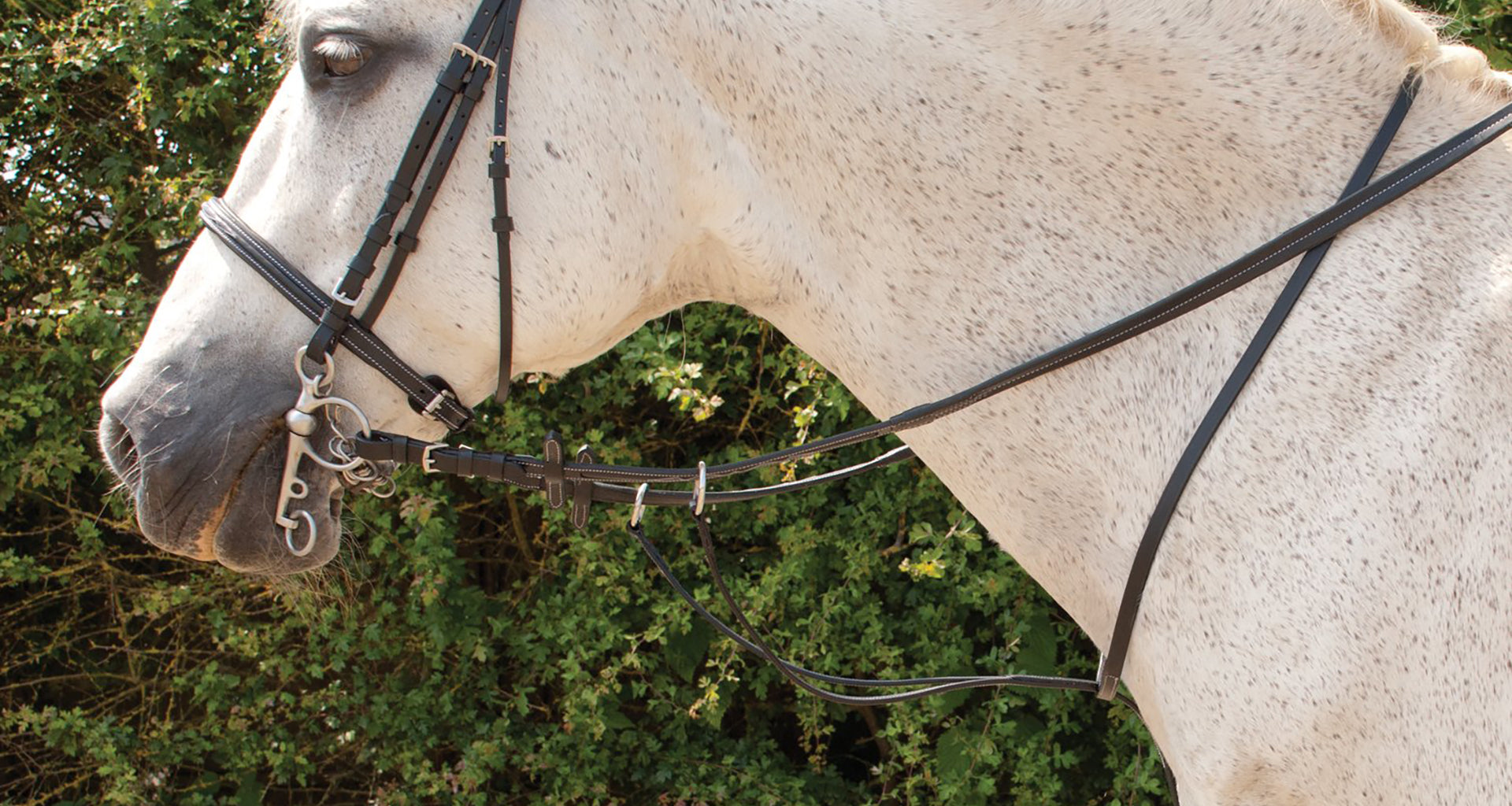 Bridles