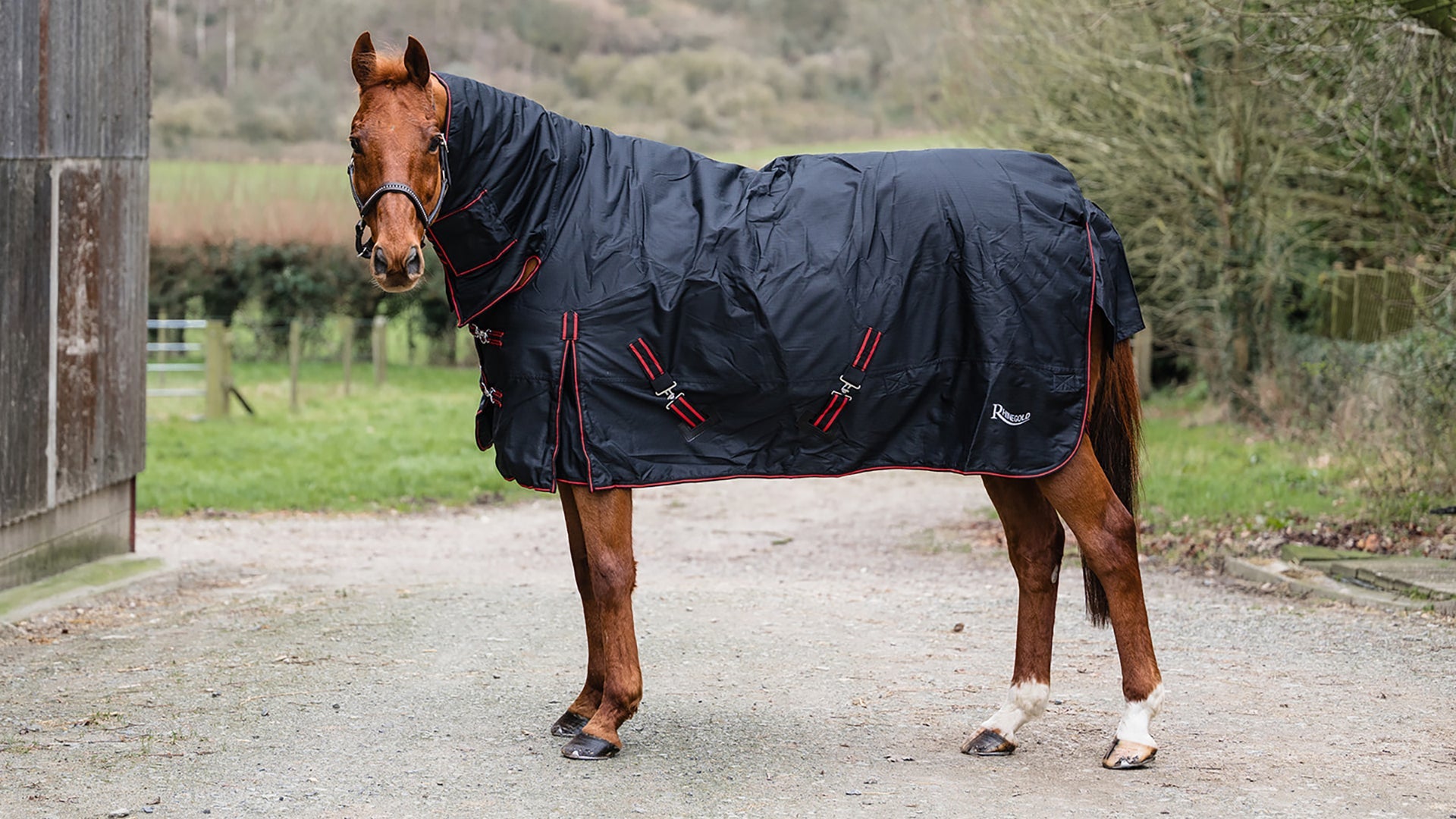 Horse Rugs