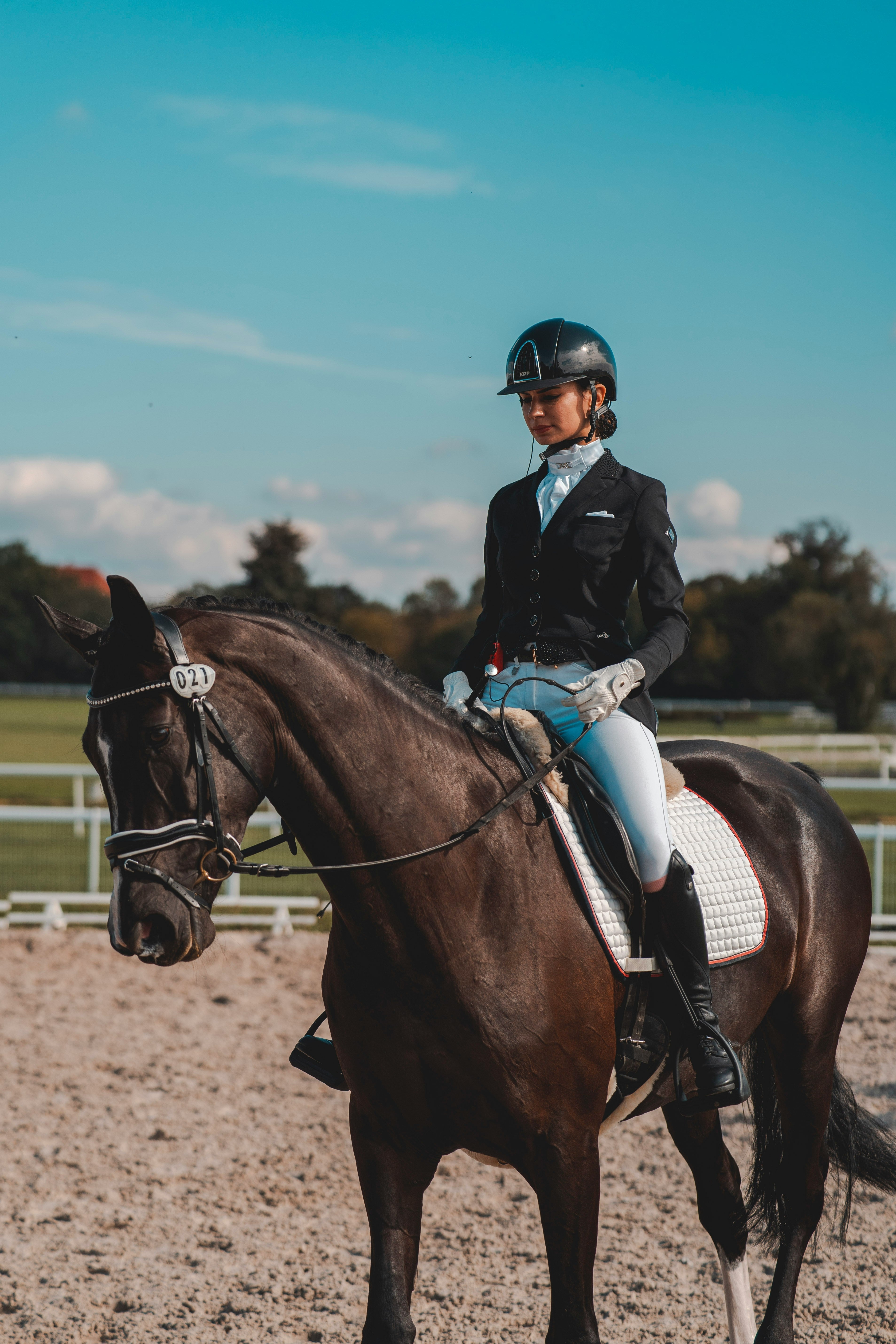 Jodhpurs Breeches