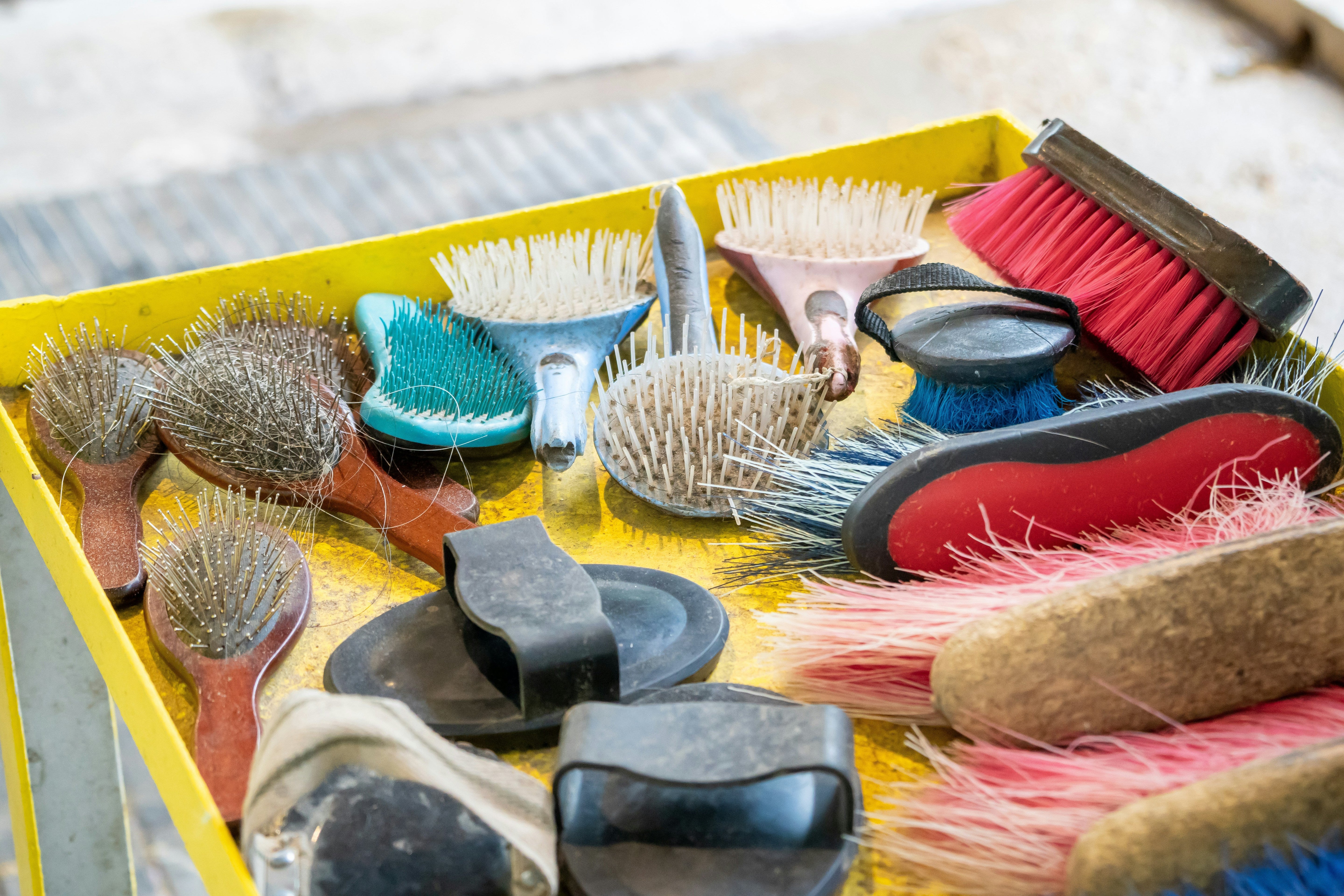 Grooming Equipment