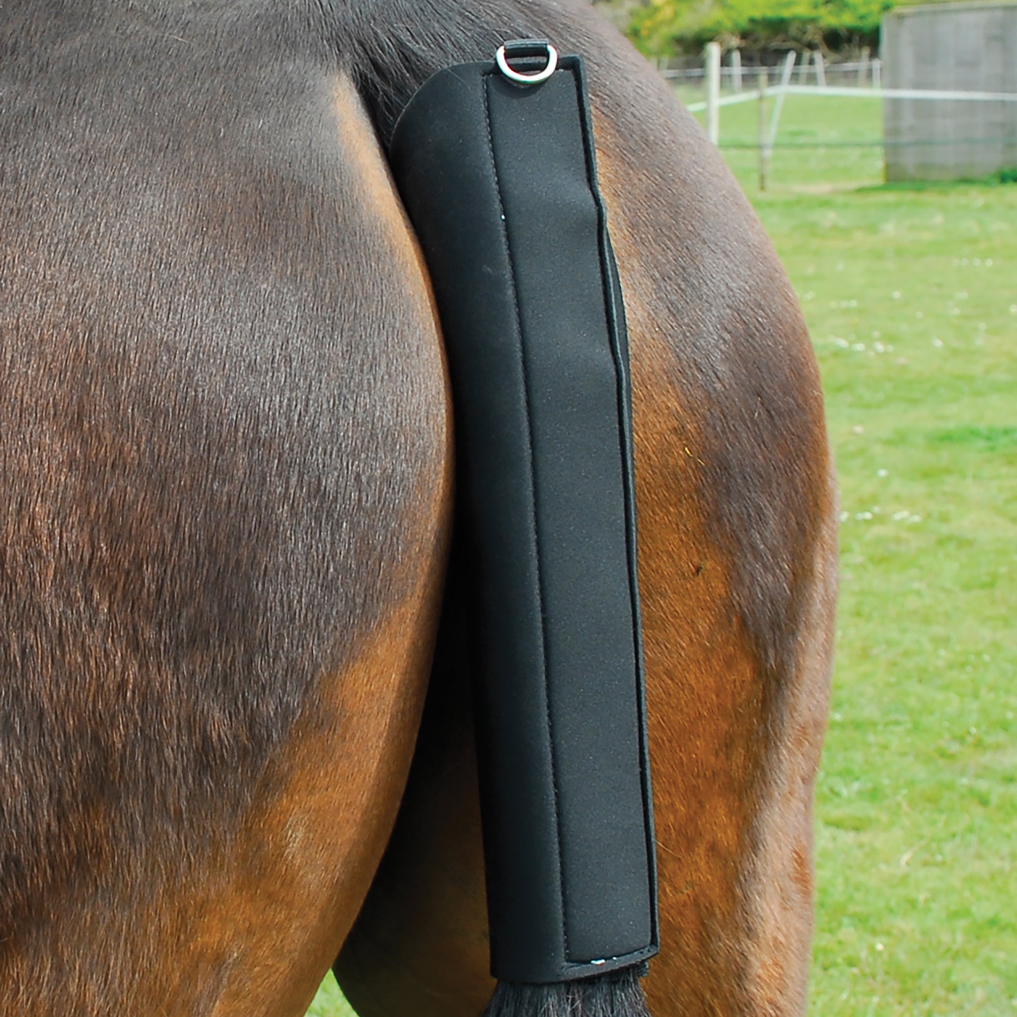 Rhinegold Neoprene Tailguard
