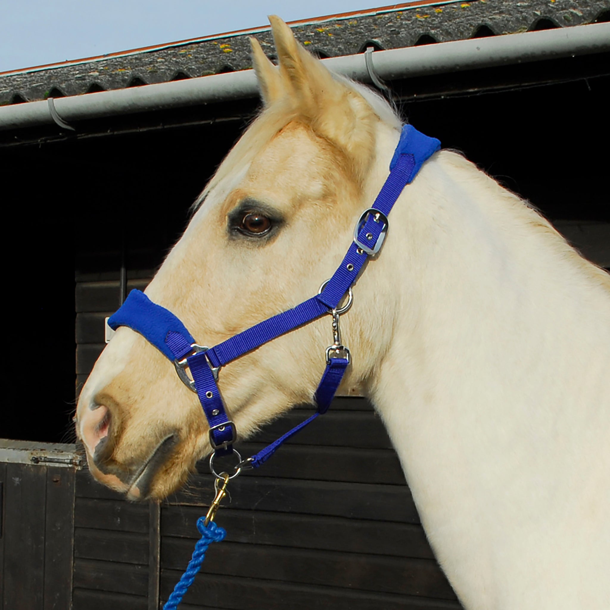 Rhinegold Comfort Headcollar And Lead Rope Set
