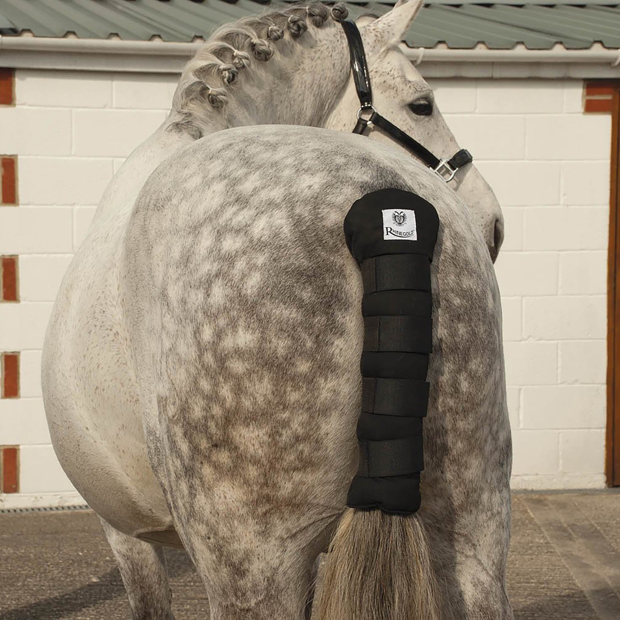 Rhinegold Cotton Quilted Tailguard