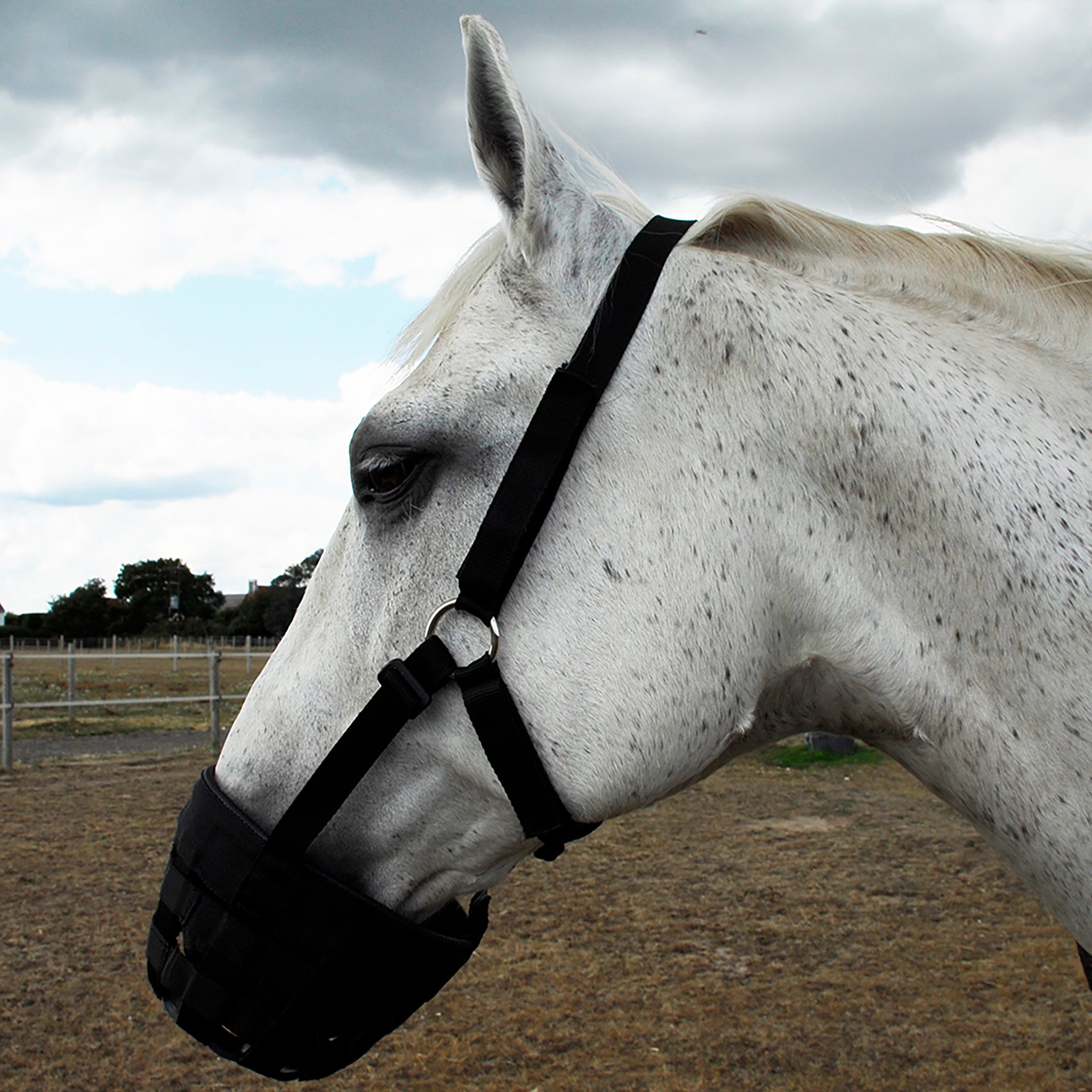 Rhinegold Grazing Muzzle