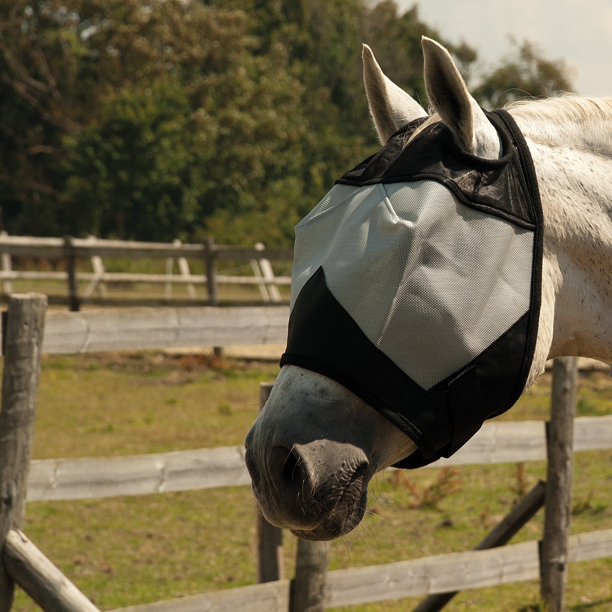 Rhinegold Fly Mask Without Ears