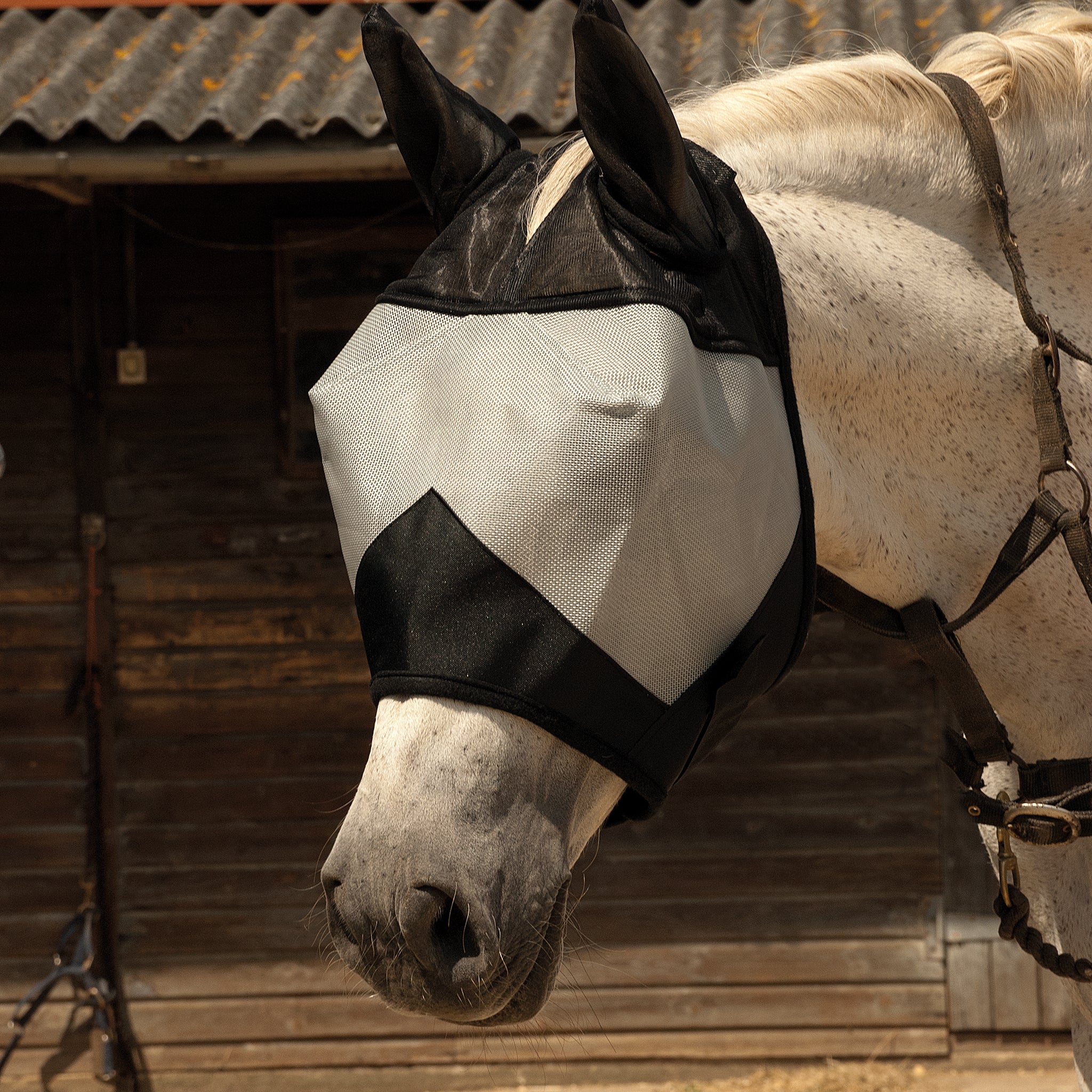 Rhinegold Fly Mask With Ears