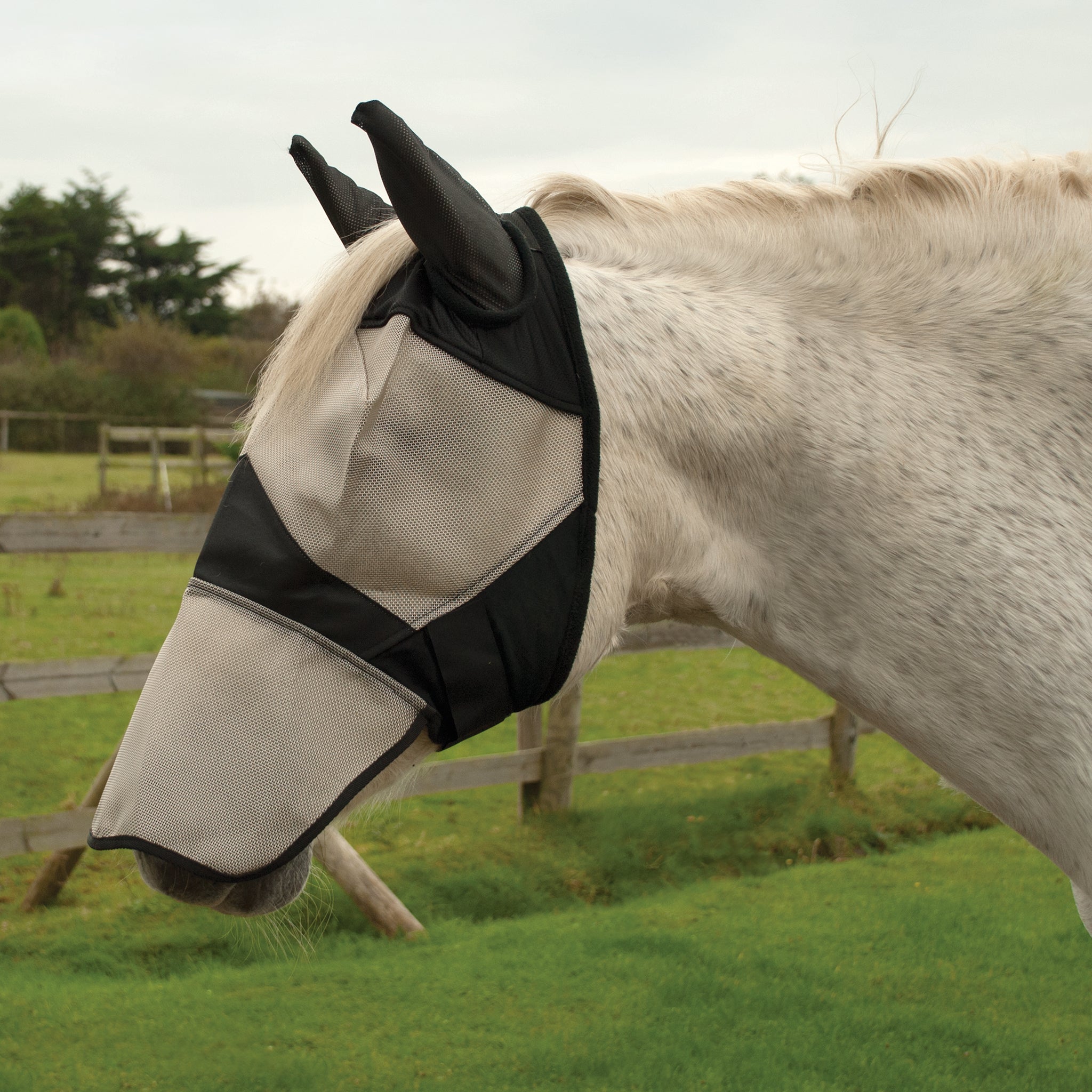 Rhinegold Fly Mask With Ear And Nose Coverage