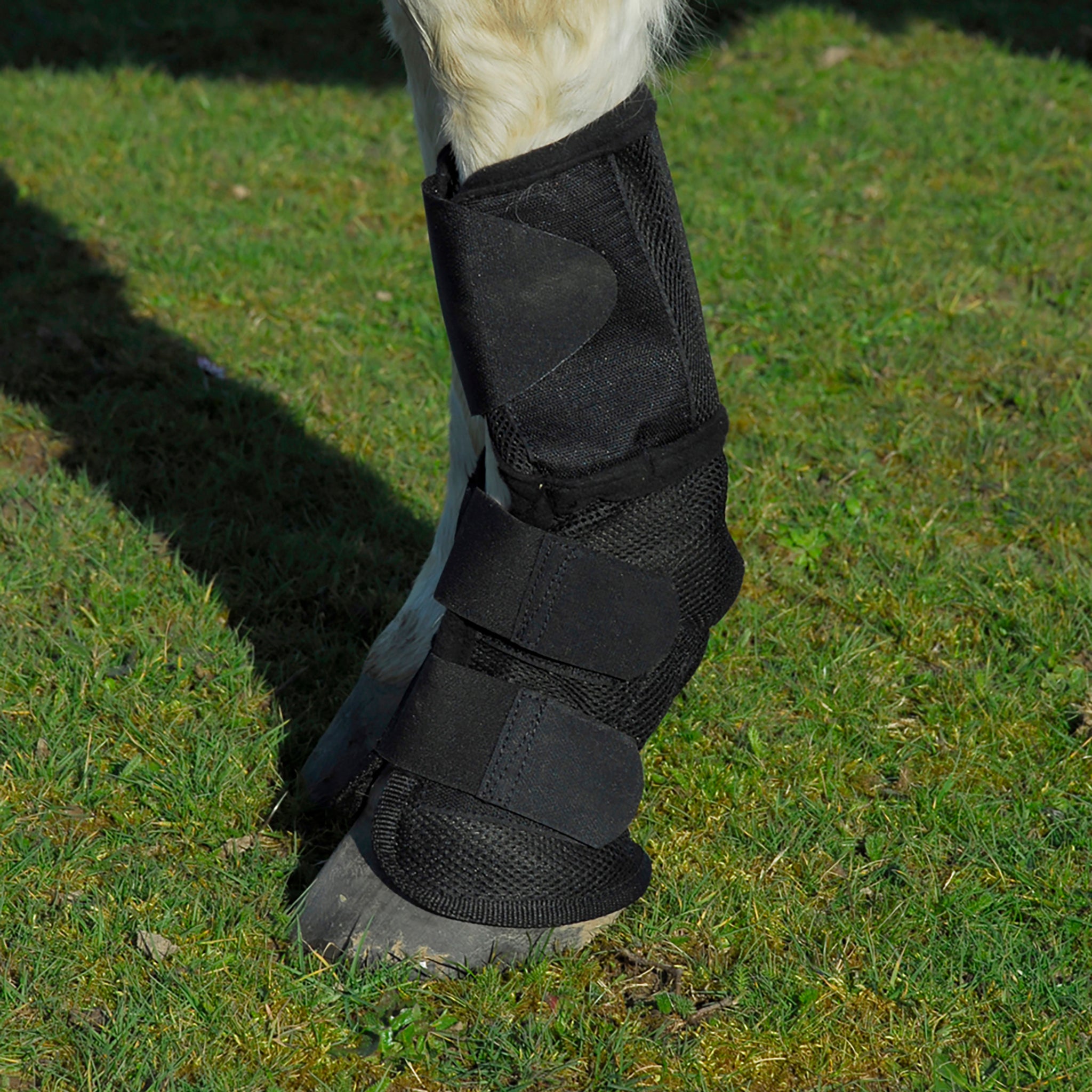 Rhinegold Fly Boot- Fly Free Summer Mesh Boot