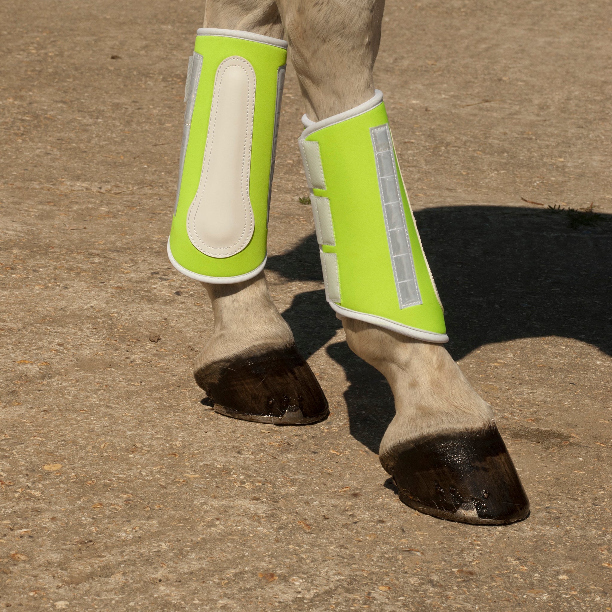Harlequin Reflective Brushing Boots