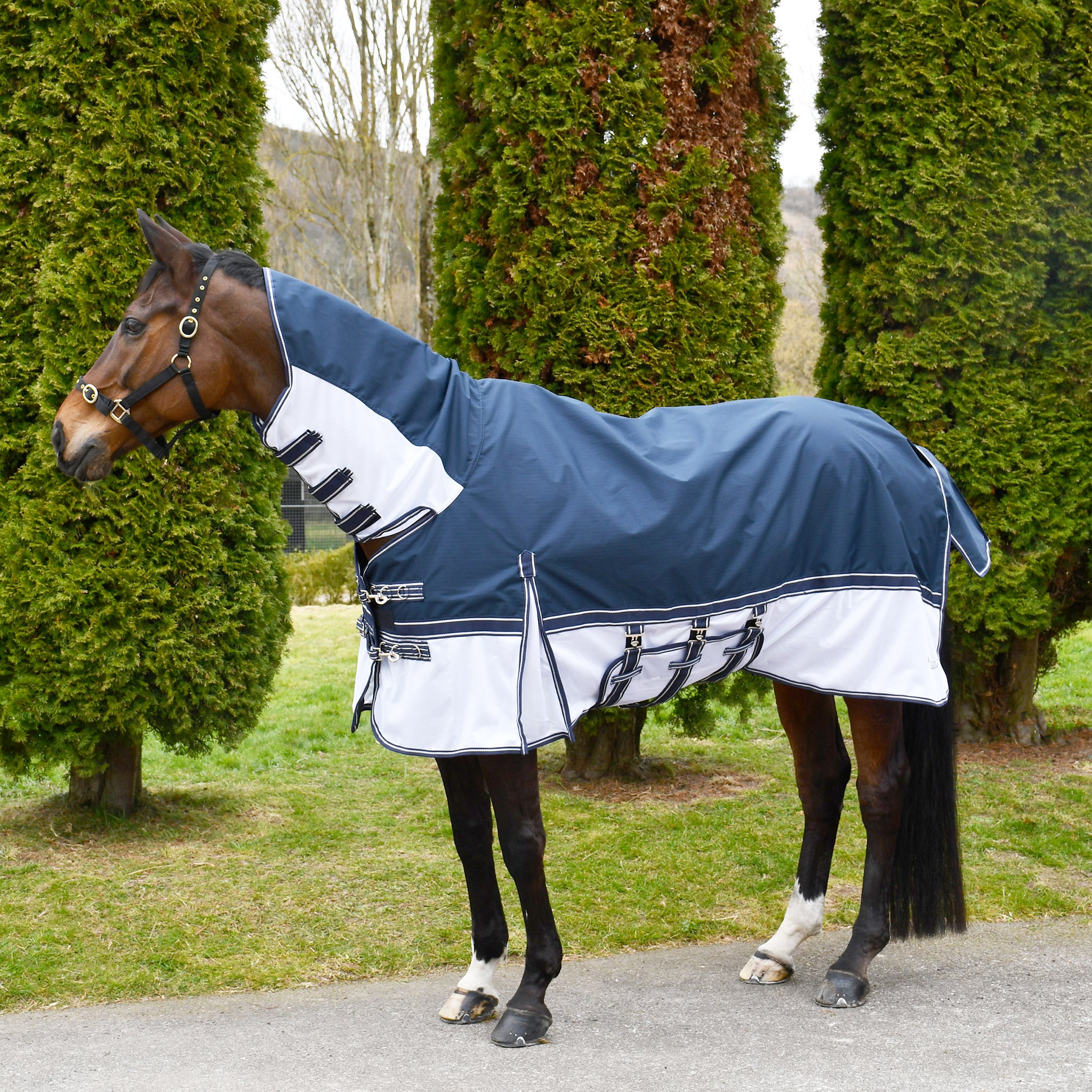 Rhinegold Sierra Waterproof Topline Fly Rug