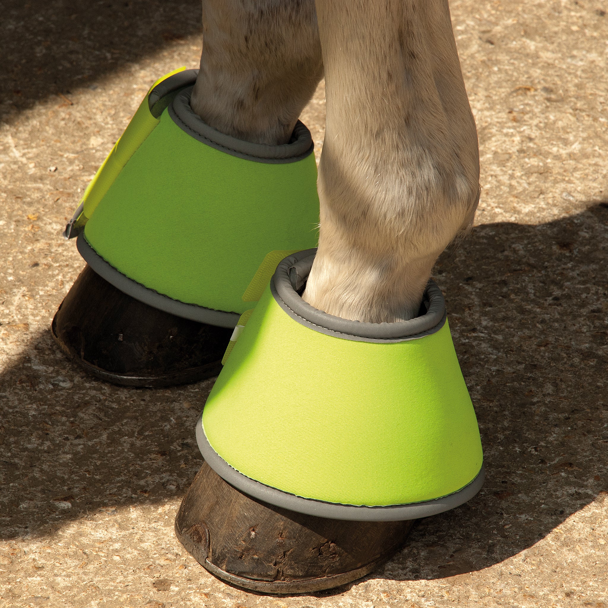 Rhinegold Reflective Over Reach Boots