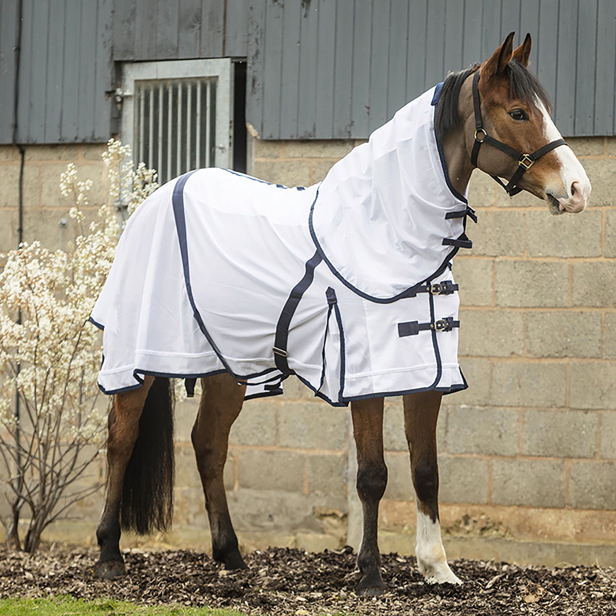 Rhinegold Essentials Fly Rug Supplied With Neck Cover