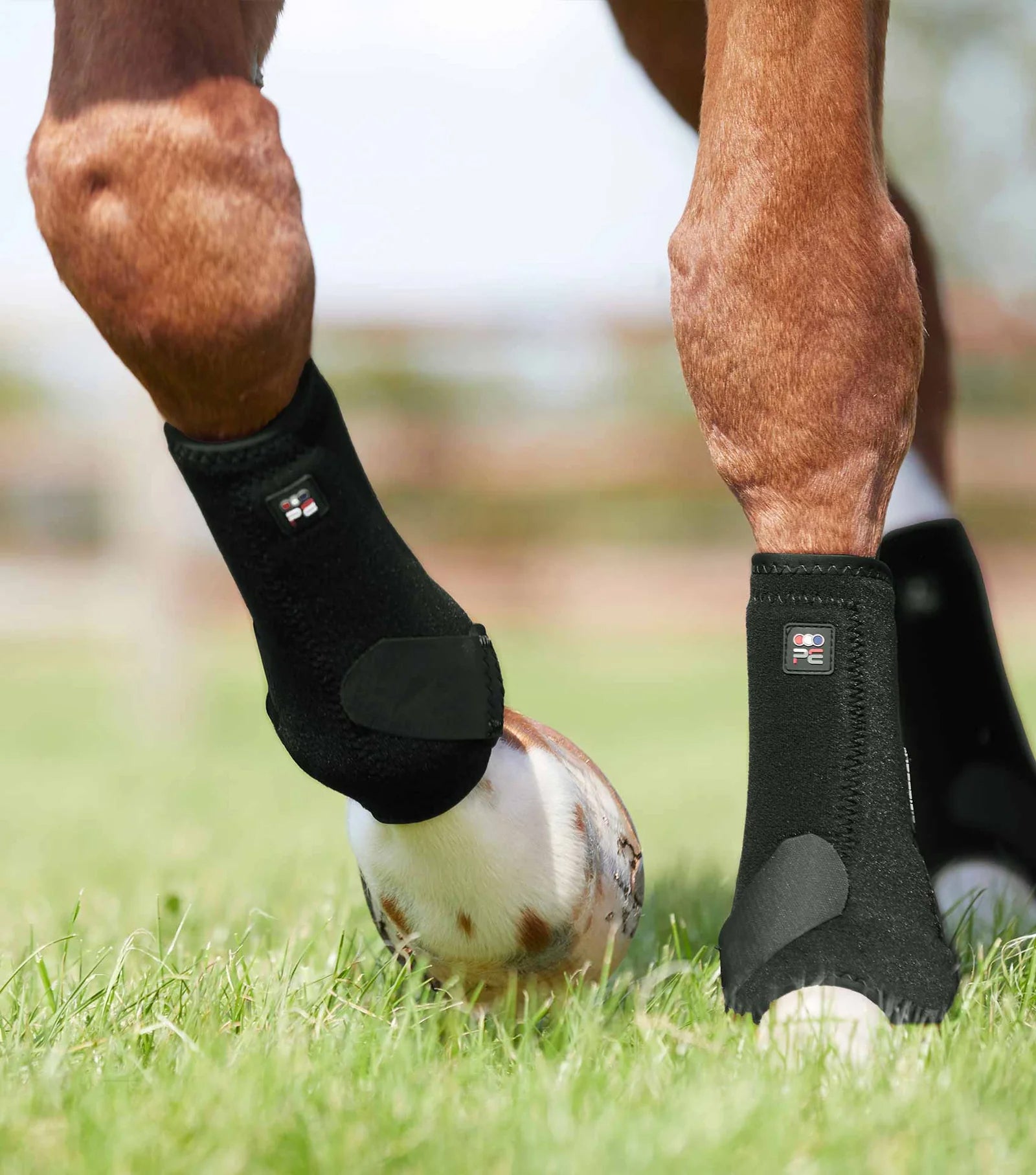 Premier Equine Air-Tech Sports Medicine Boots-2