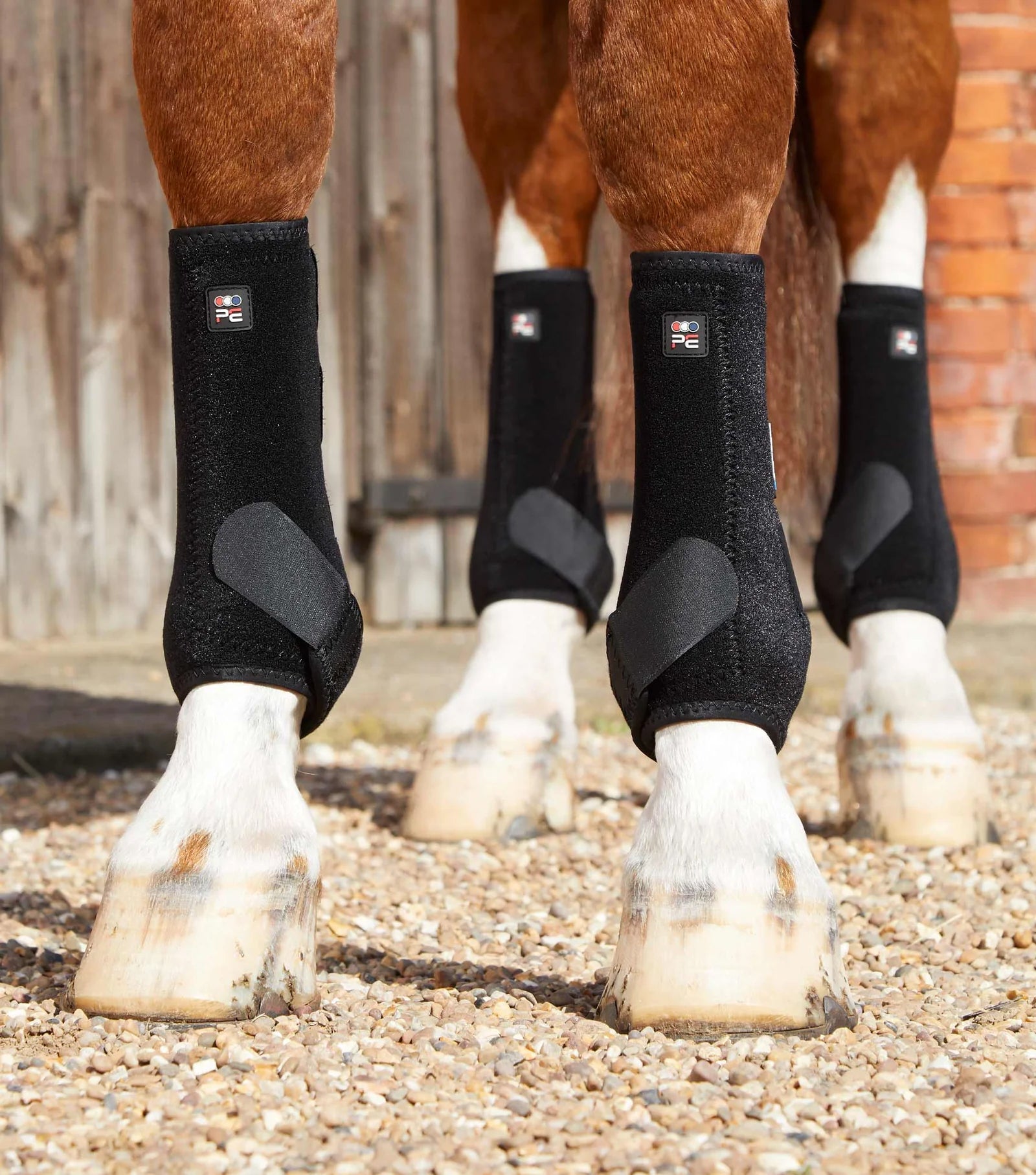 Premier Equine Air-Tech Sports Medicine Boots-3