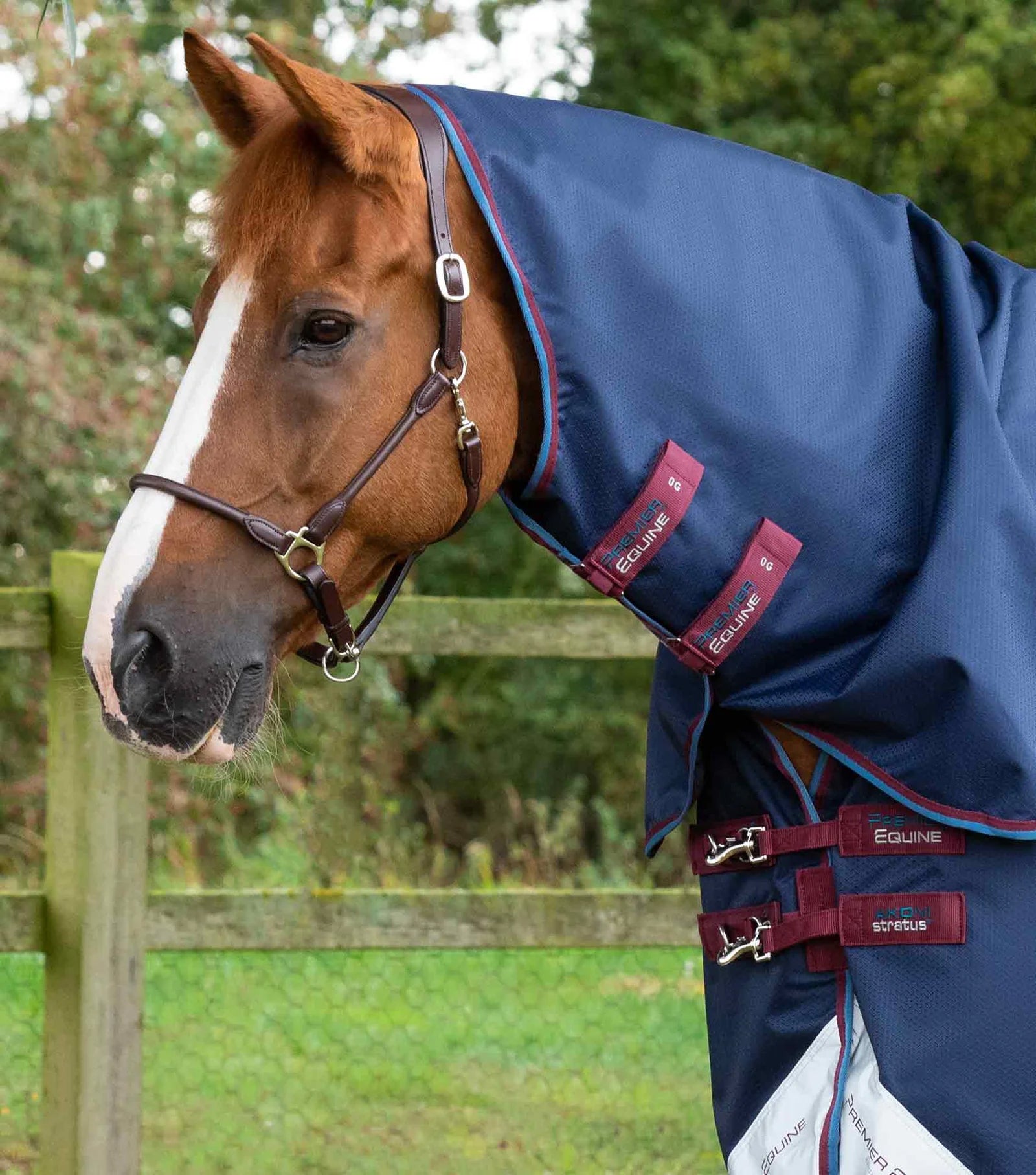 Premier Equine Akoni 0g Turnout Rug with Classic Neck Cover-2