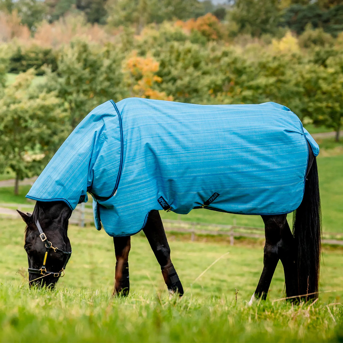 Amigo® 900D Revive Plus Turnout 50g-2