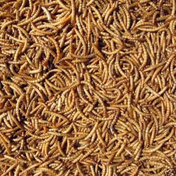 Bartholomews Mealworms 500g-1
