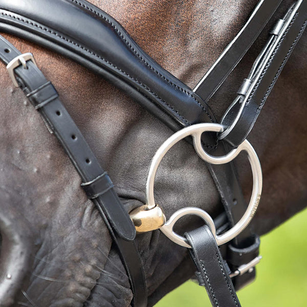 Premier Equine Brass Alloy Bevel Bit with Lozenge