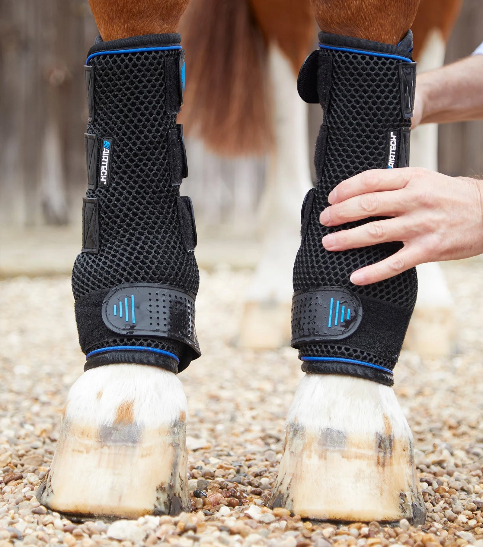 Premier Equine Cold Water Compression Boots-3