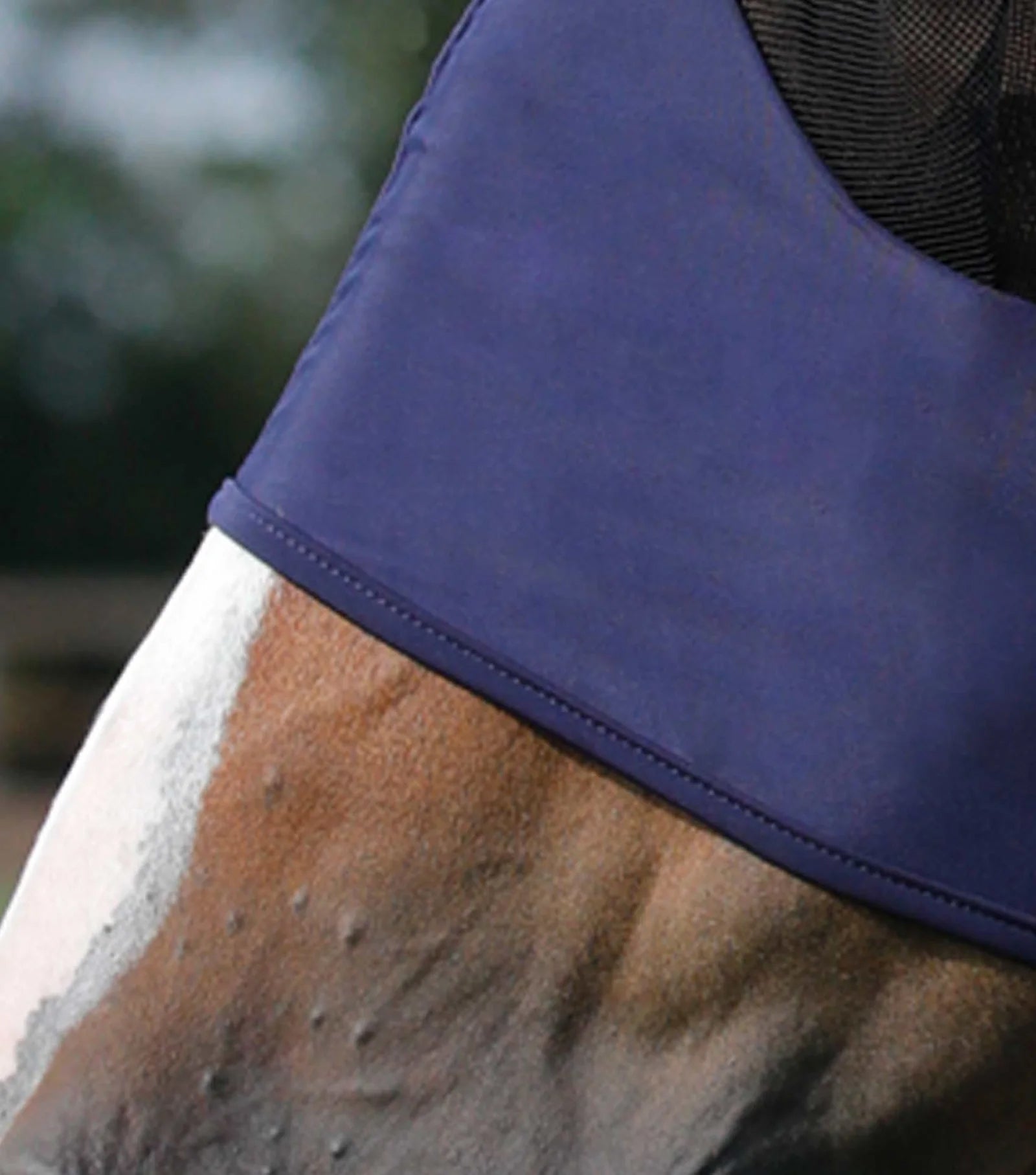 Premier Equine Comfort Tech Lycra Fly Mask-4