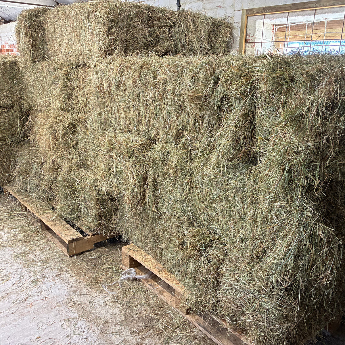 Small Hay Bale-1