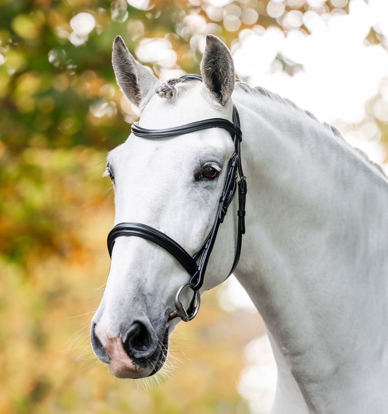Horseware Cavesson Bridle-4