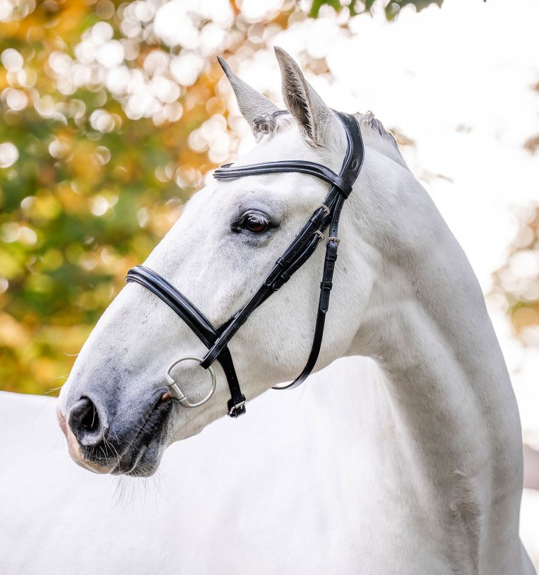 Horseware Cavesson Bridle-5