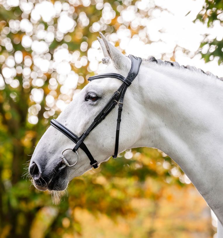 Horseware Cavesson Bridle-6