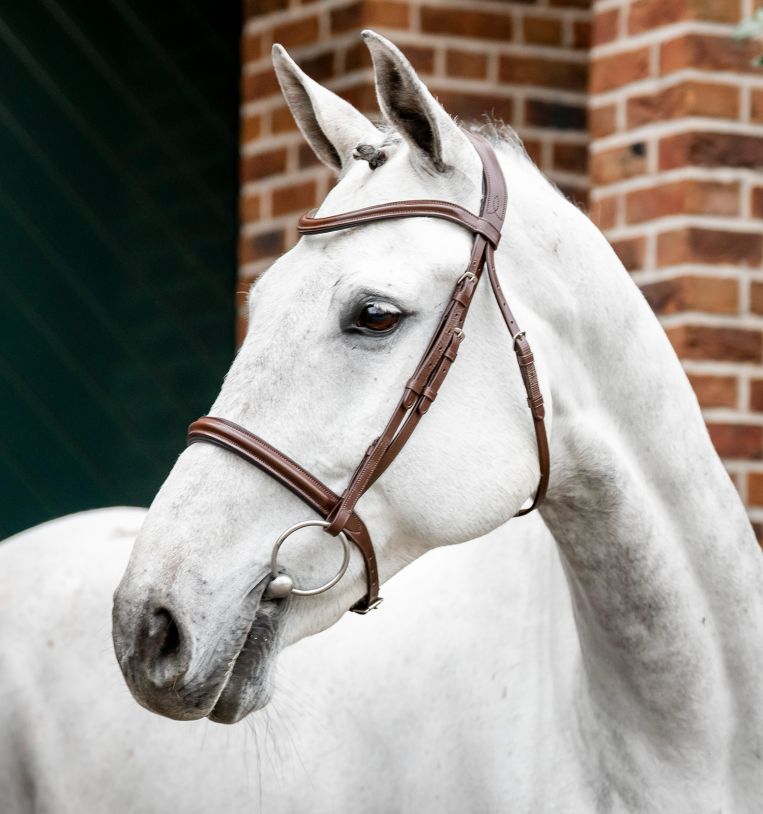 Horseware Cavesson Bridle
