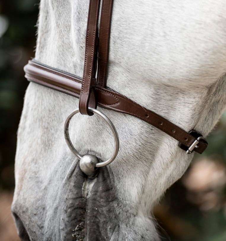 Horseware Cavesson Bridle-2