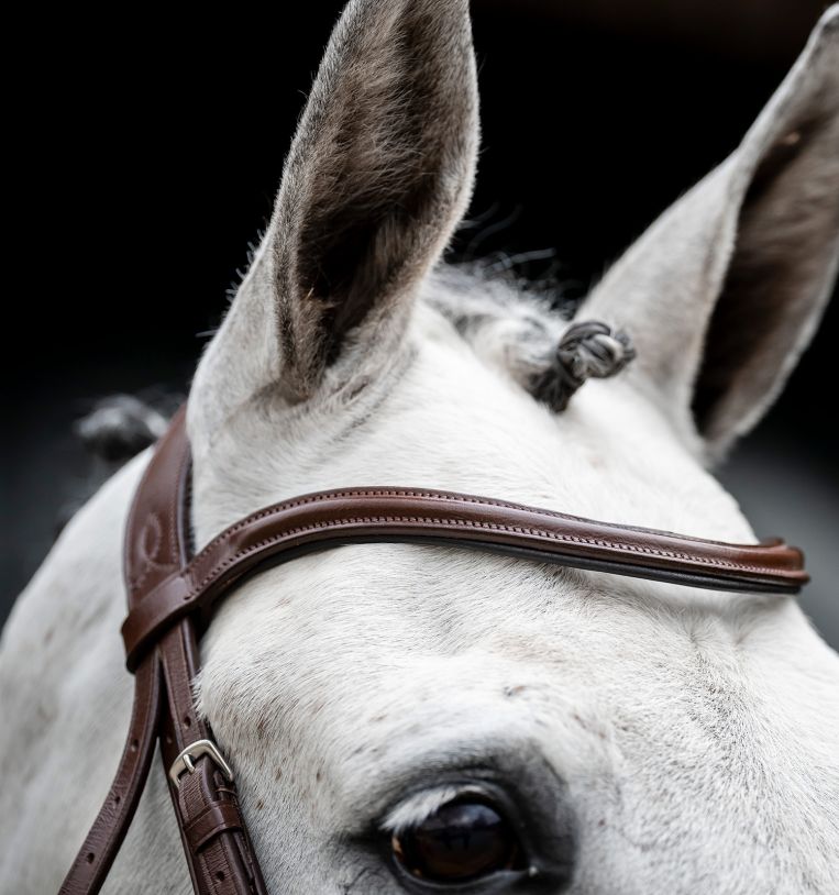 Horseware Cavesson Bridle-3