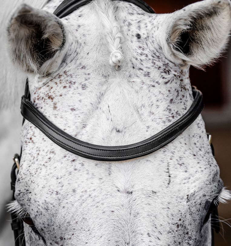 Horseware Micklem Competition Bridle-5