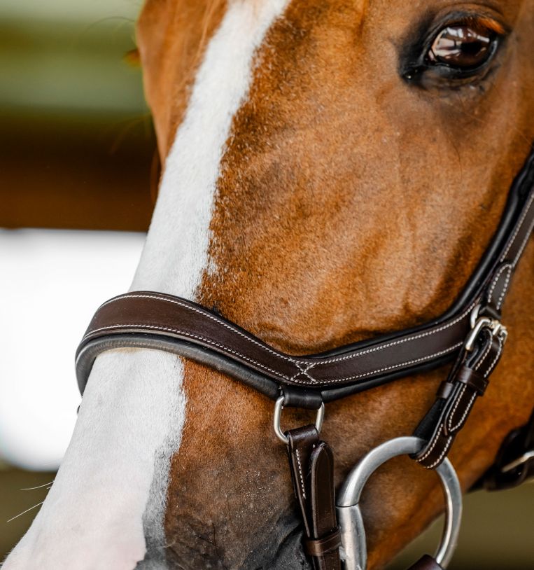 Horseware Micklem Competition Bridle-2
