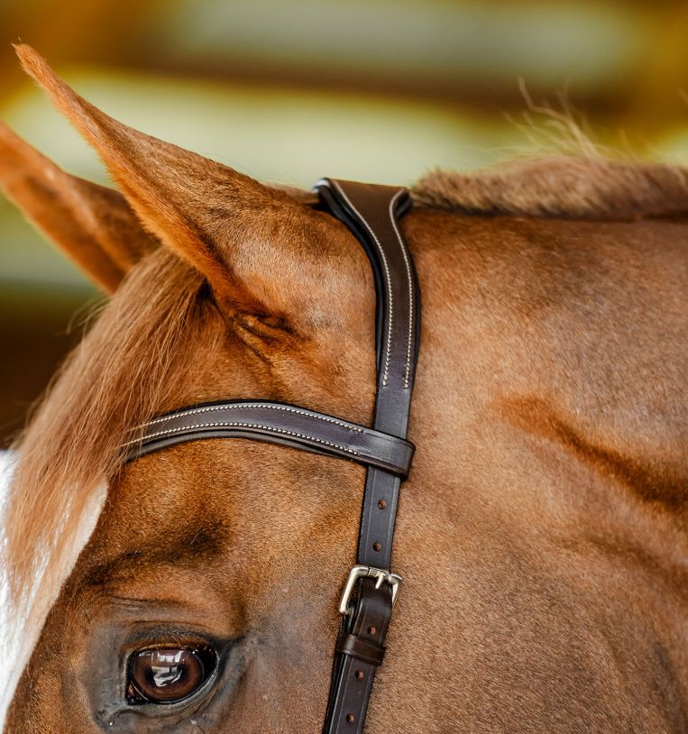 Horseware Micklem Competition Bridle-3