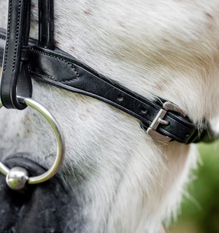 Horseware Pony Cavesson Bridle-2