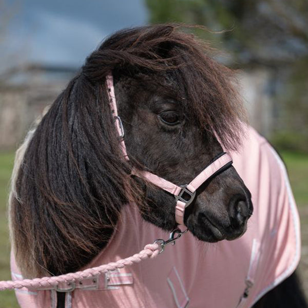Rhinegold Mini Sorbet Padded Headcollar And Rope Set-1