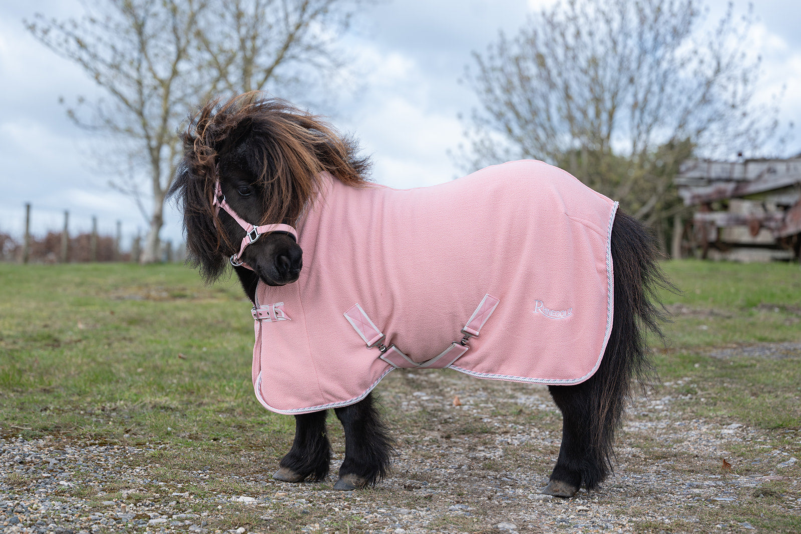 Rhinegold Mini Sorbet Fleece Rugs-4