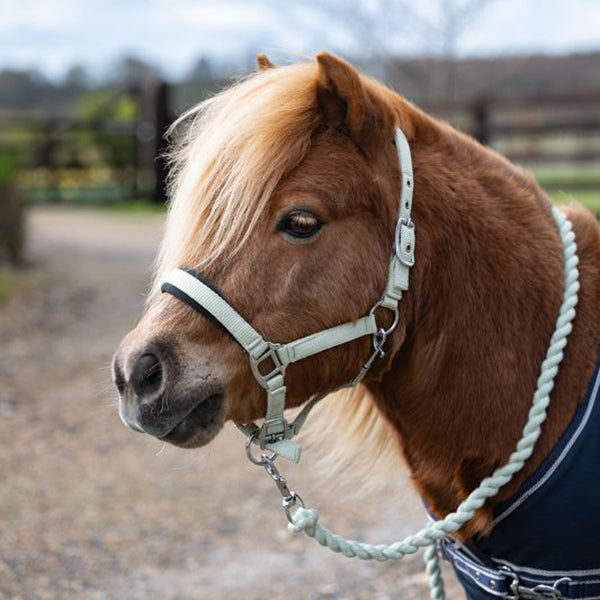Rhinegold Mini Sorbet Padded Headcollar And Rope Set-2