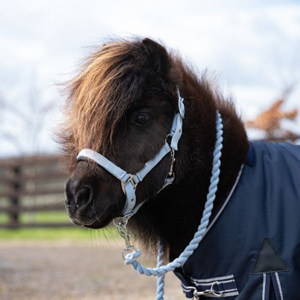 Rhinegold Mini Sorbet Padded Headcollar And Rope Set-3