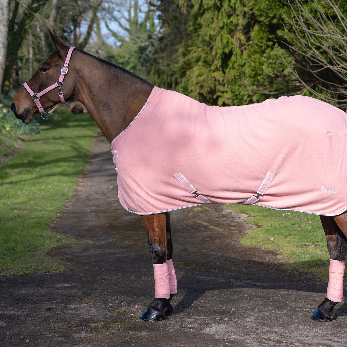Rhinegold Sorbet Fleece Rug