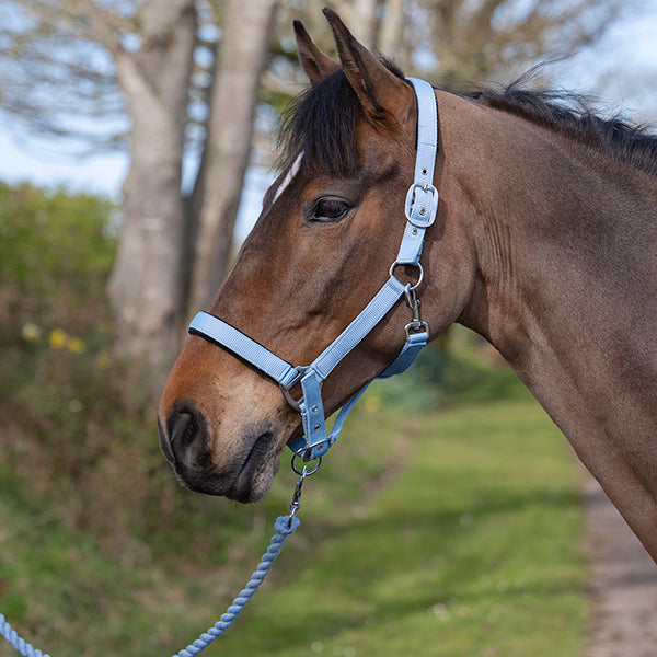 Rhinegold Sorbet Padded Headcollar And Luxury Leadrope Set-1