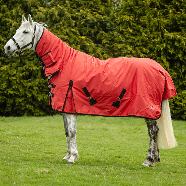 Rhinegold Full Neck Konig Outdoor Rug 200g