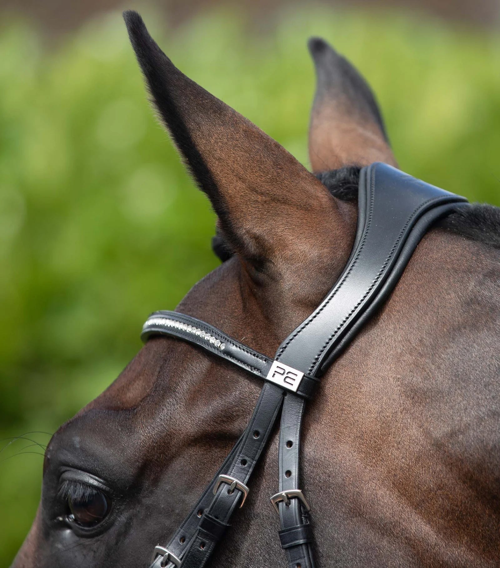 Premier Equine Stellazio Anatomic Snaffle Bridle with Flash-8
